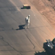 Illustration for article titled Loose Llama Lassoed From A Moving Pickup Truck, Already An Ad